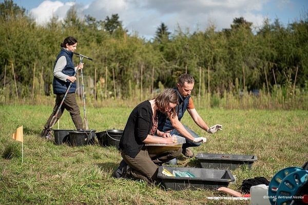 Préparation de mise en sachets des échantillons de sol, par les agents de l'unité INFOSOL - Orléans