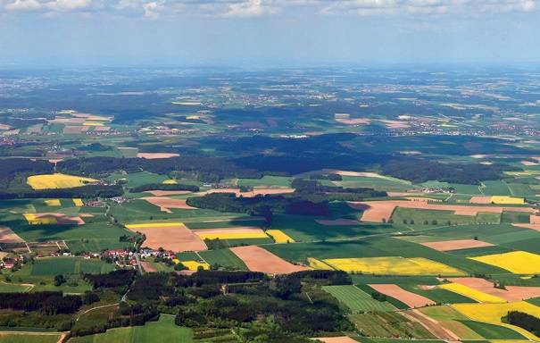 Etude Diversification des cultures