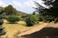 ESCo Diversification des Forêts
