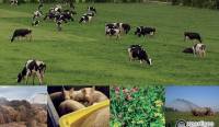 ESCo Réduire les flux d’azote liés aux élevages