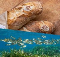 BiodivLabel