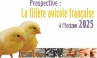 Prospective La filière avicole française à l’horizon 2025