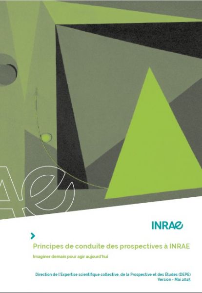 Couverture Principes de conduite des prospectives FR